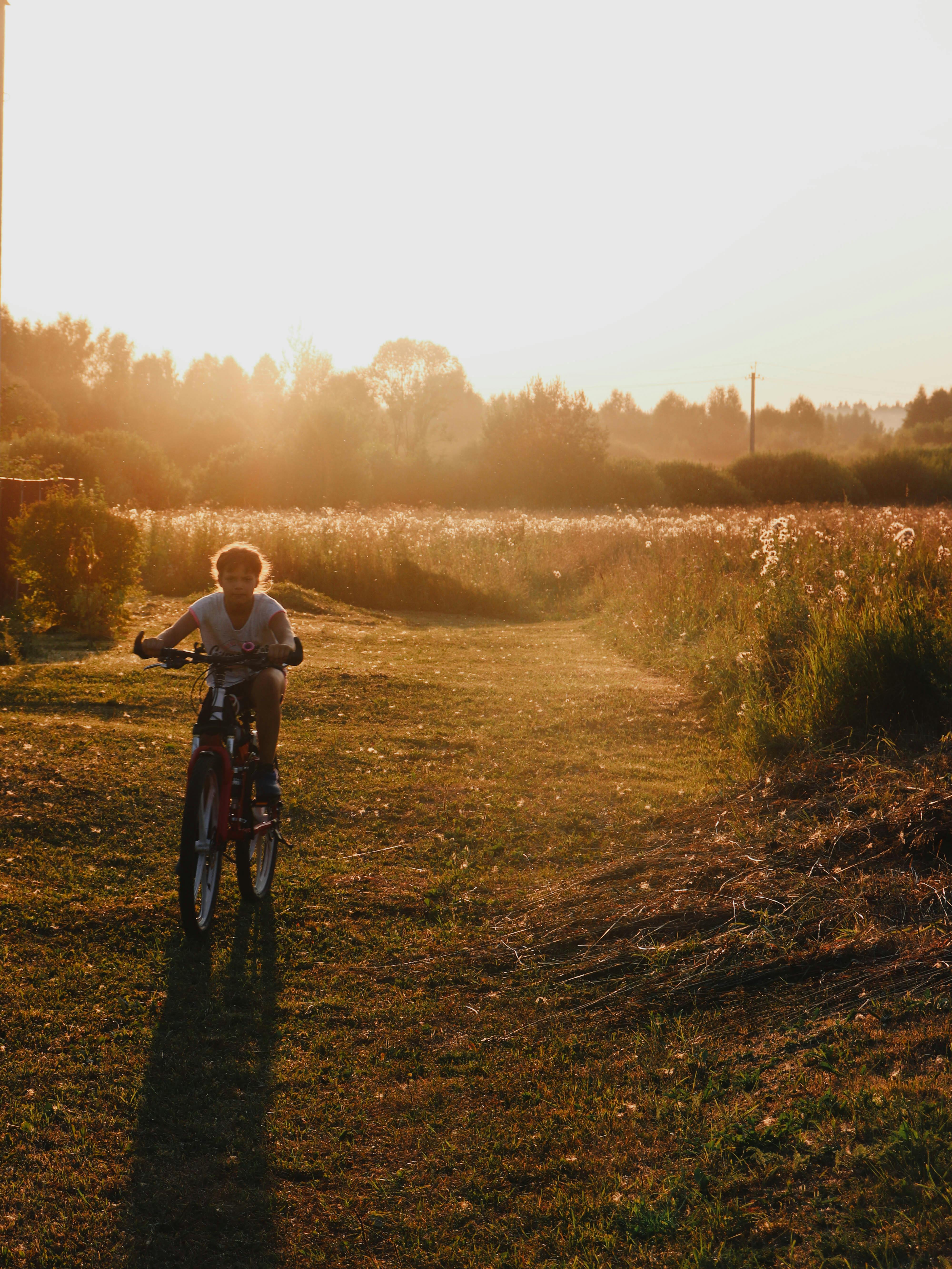 A child rides a bicycle down a sunlit path through a picturesque meadow at sunset.
