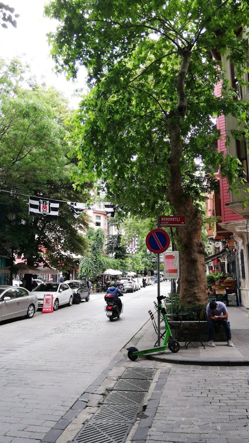 คลังภาพถ่ายฟรี ของ ต้นไม้, ตุรกี, ถนนในเมือง