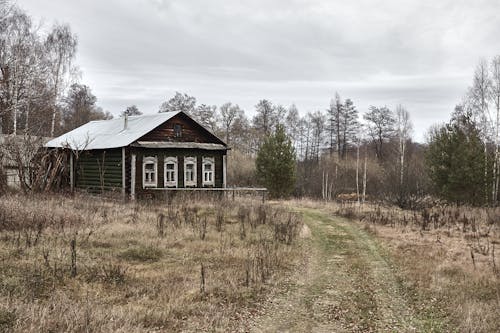 A Wooden House on Grass Field Under the White Clouds