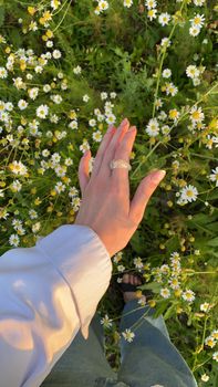 A hand adorned with a ring touching blooming daisies, bathed in sunlight.