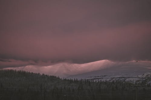 Foto d'estoc gratuïta de bosc, muntanyes, neu