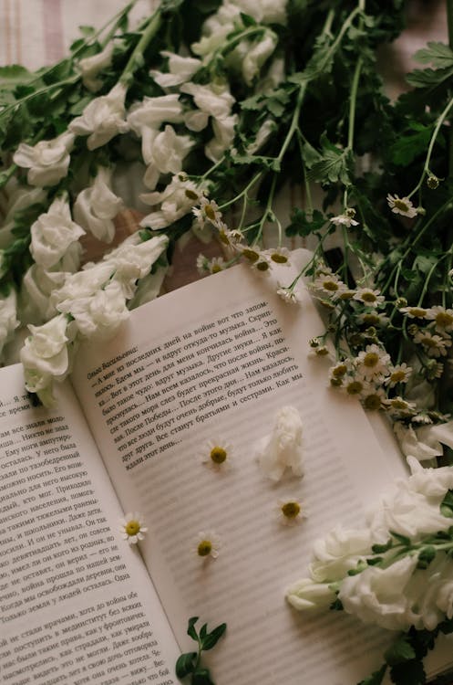 White Flowers on a Book · Free Stock Photo