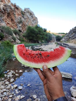 A hand holds a vibrant watermelon slice in a rocky river gorge with lush greenery.