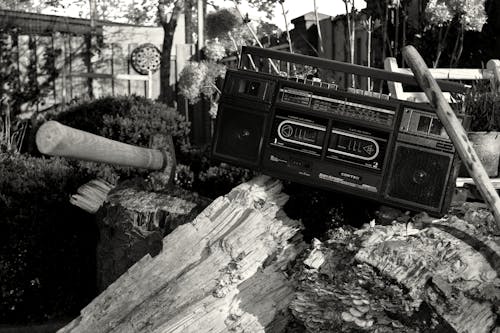 Fotografia In Scala Di Grigi Della Radio Sul Tronco Di Albero Con L'ascia