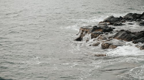 免費 太平洋, 岩石, 水 的 免費圖庫相片 圖庫相片