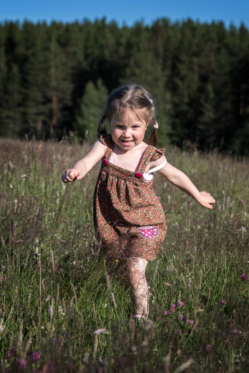 A Pretty Girl in Floral Dress Running on a Grassy Field · Free Stock Photo