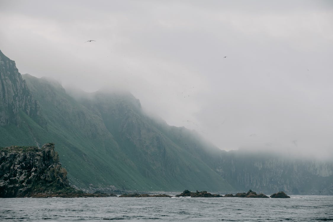 Gratis lagerfoto af Fjord, hav, kystlinje