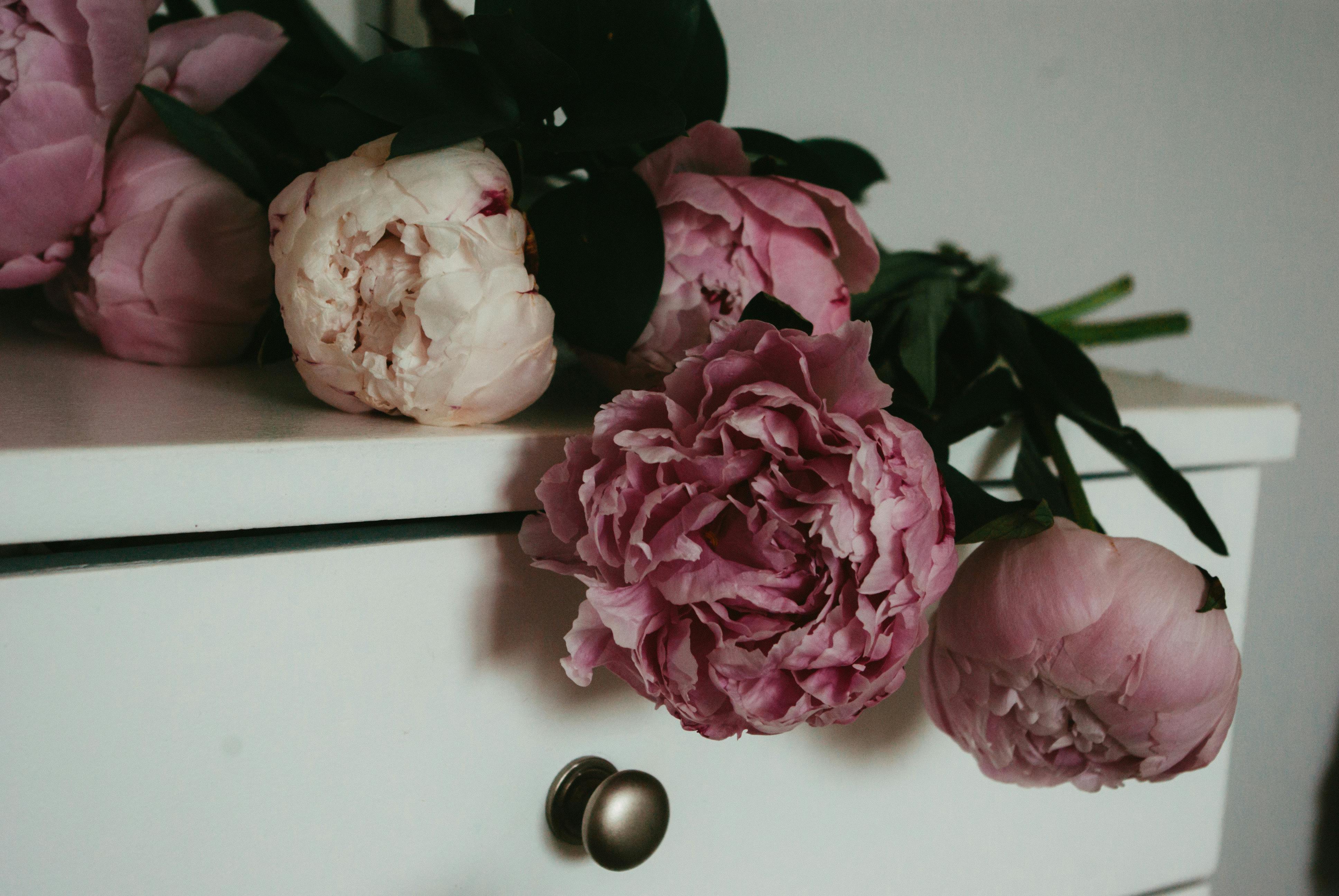 Beautiful pink peonies resting on a white sideboard create a classic floral arrangement.