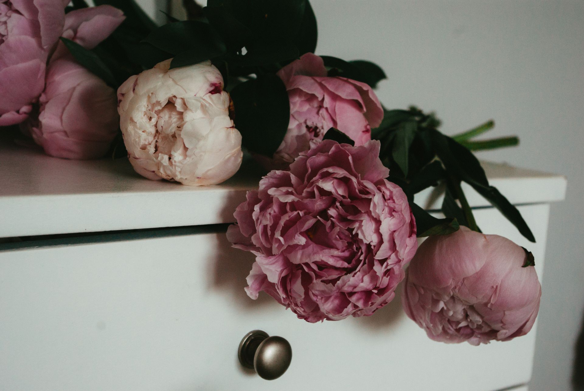 Beautiful pink peonies resting on a white sideboard create a classic floral arrangement.