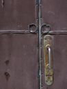 Brown Wooden Door With Brass Door Lever