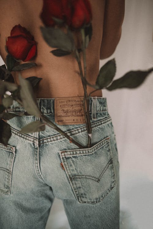 Základová fotografie zdarma na téma červené růže, denimové džíny, kapsa