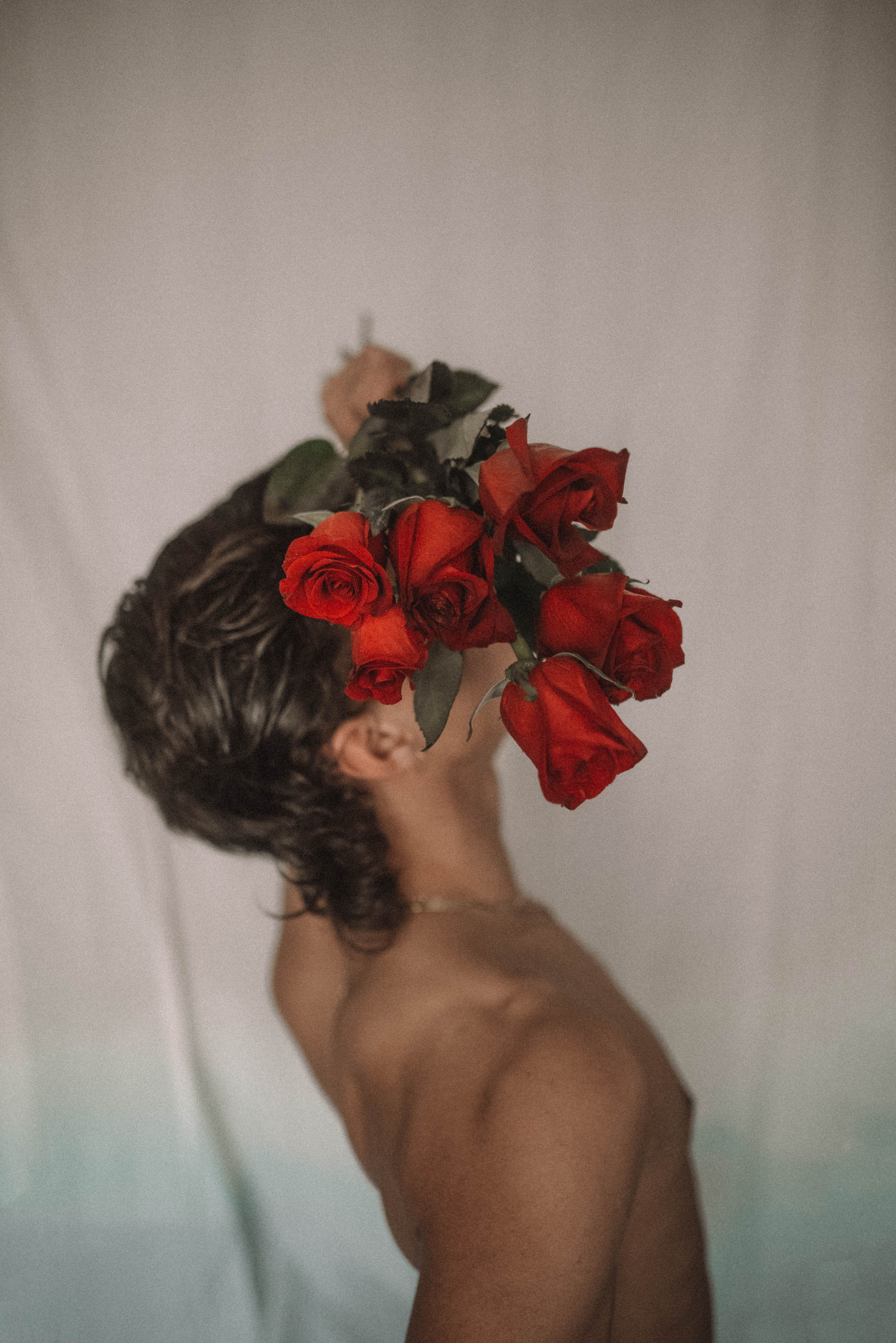 A Shirtless Man's Face Covered with Red Roses · Free Stock Photo