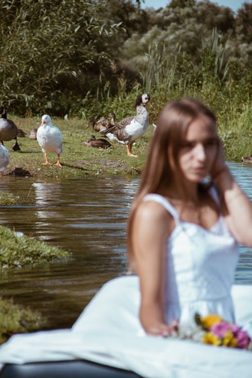 Základová fotografie zdarma na téma bílé šaty, jezero, kachny