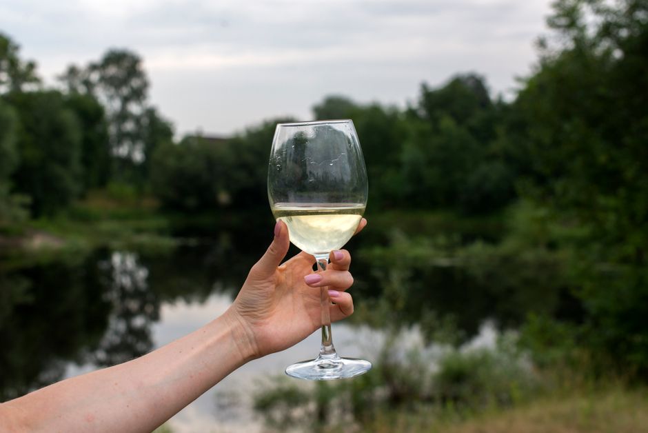 Wine glasses at a traditional cellar in the Small Carpathians wine region of Slovakia.
