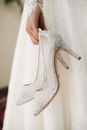 Person Holding White Lace Up Shoe