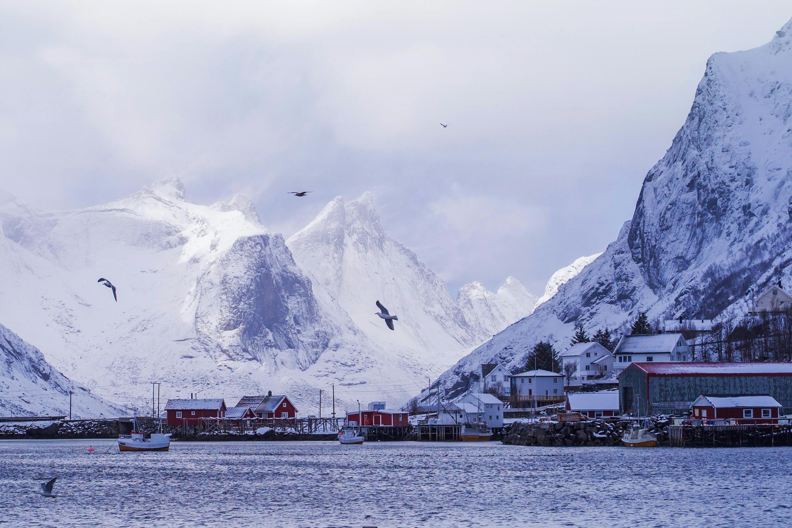 Pangnirtung, Canada (Arctic Fjords) - travel photo