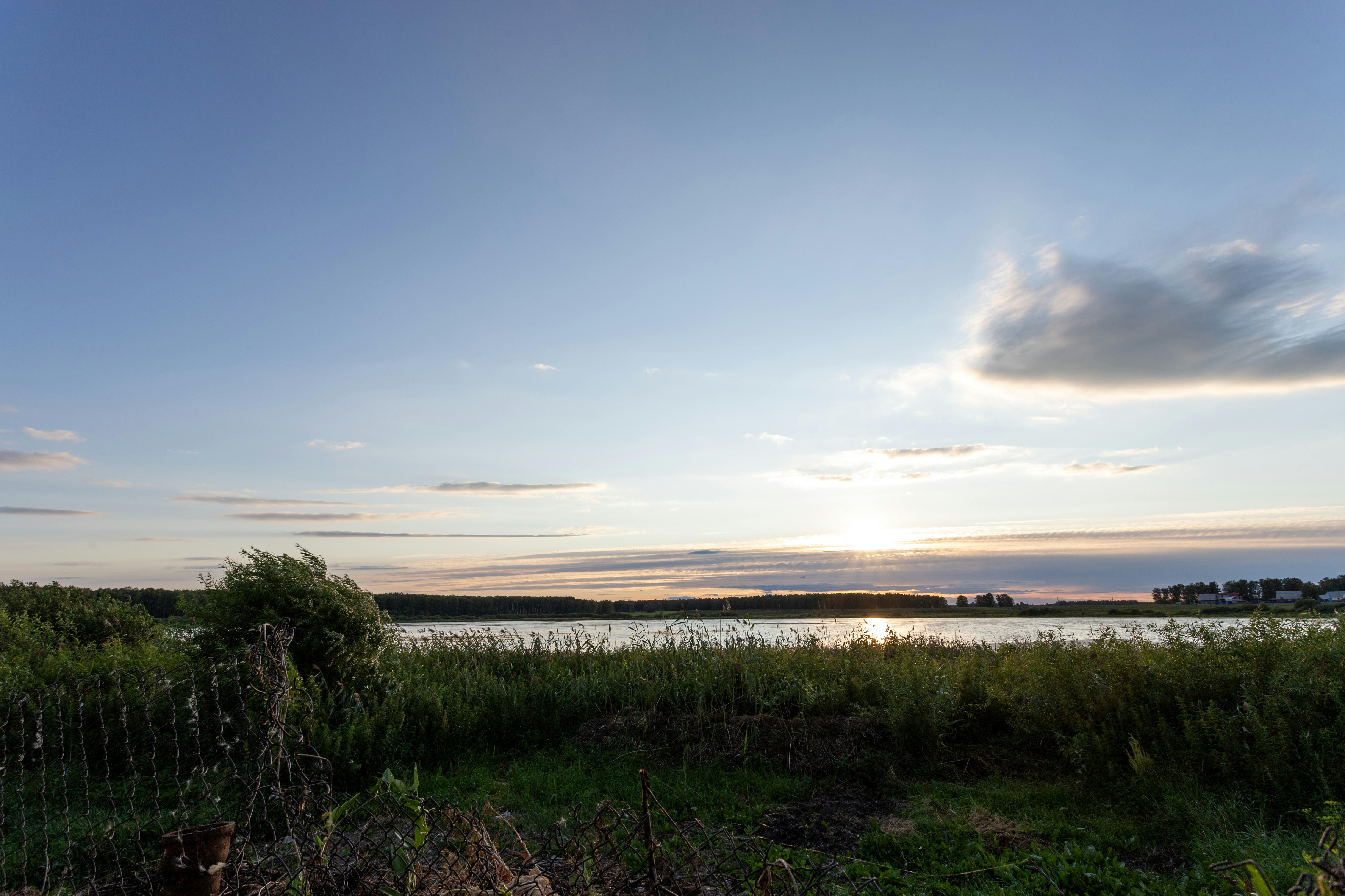 A vibrant senior woman smiling and looking thoughtfully out a window.