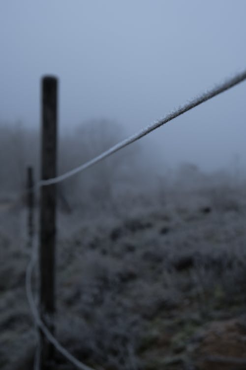 Free stock photo of chilly, cold, depth of field Stock Photo
