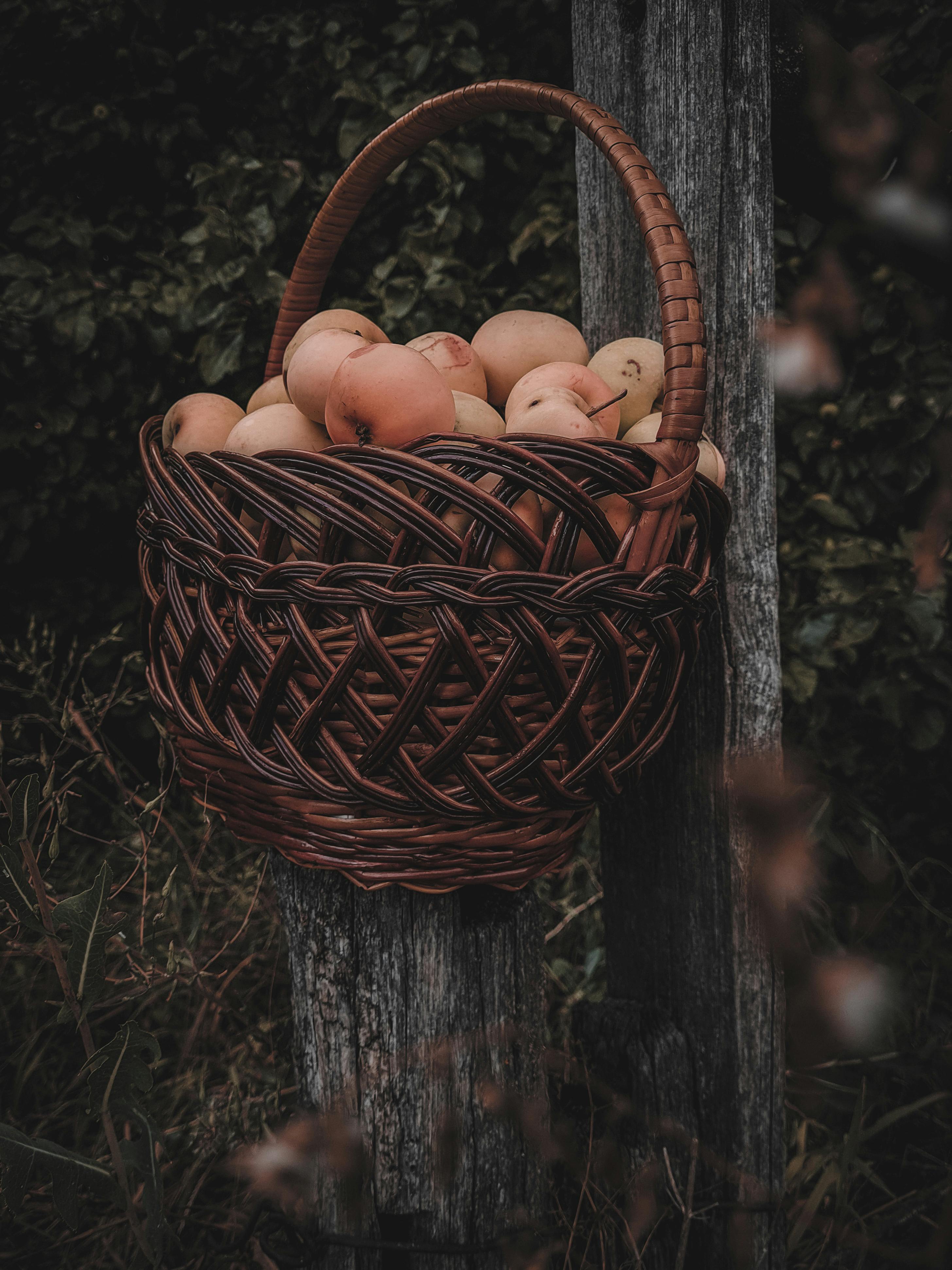A wicker basket full of apples, hanging outdoors on a rustic fence post, evokes a natural and harvest theme.