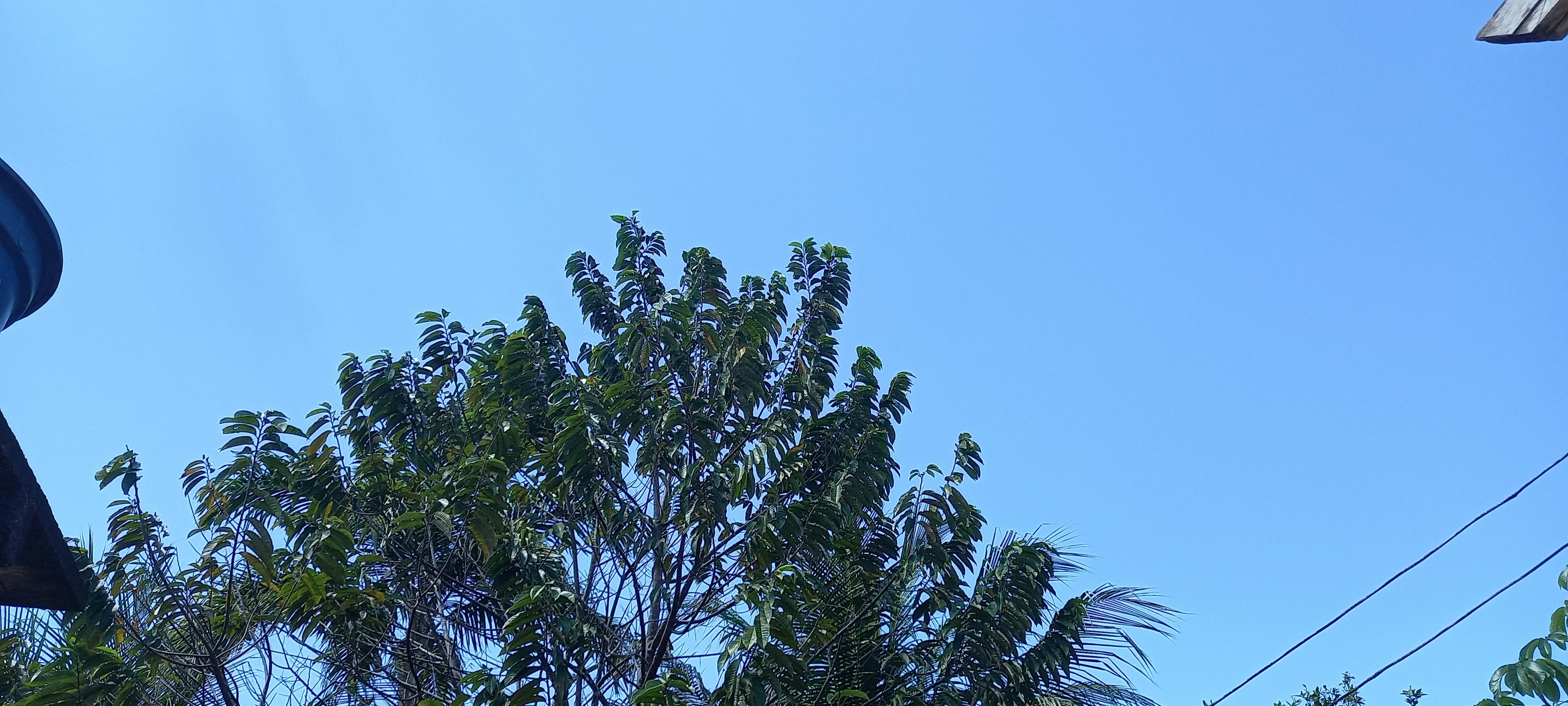 Concrete Construction Team