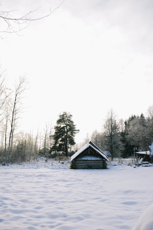 Structure with Roof on Snow Covered Ground