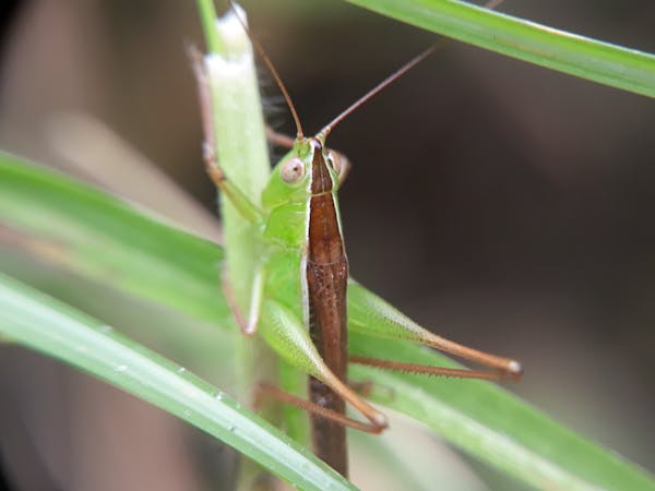 Contractor landing page demo