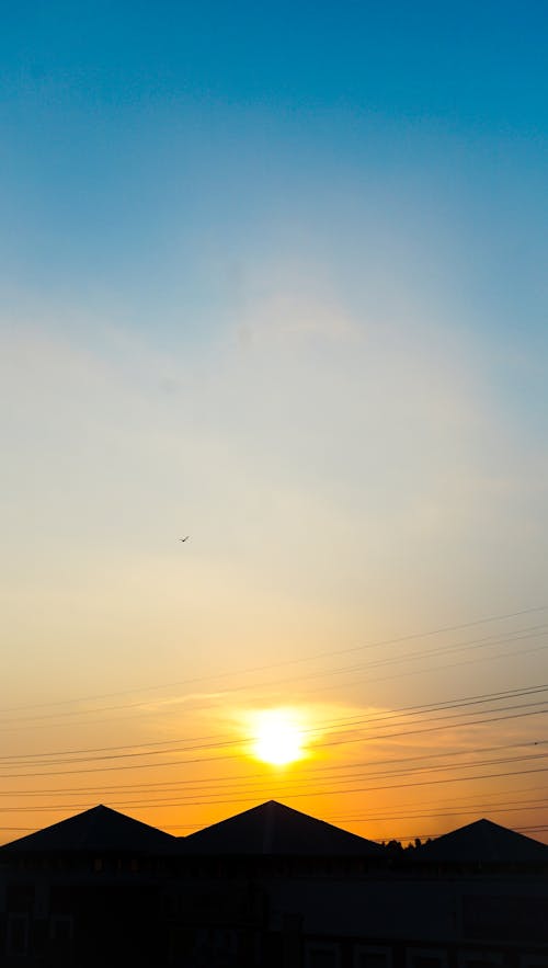 Gratis lagerfoto af gylden solnedgang, silhouet, solnedgang