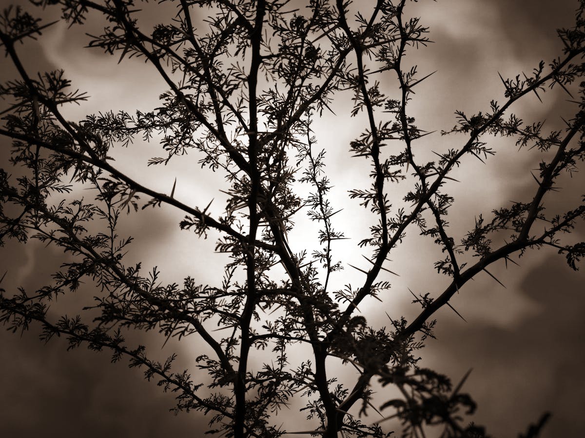 Eletricista realizando serviço elétrico profissional