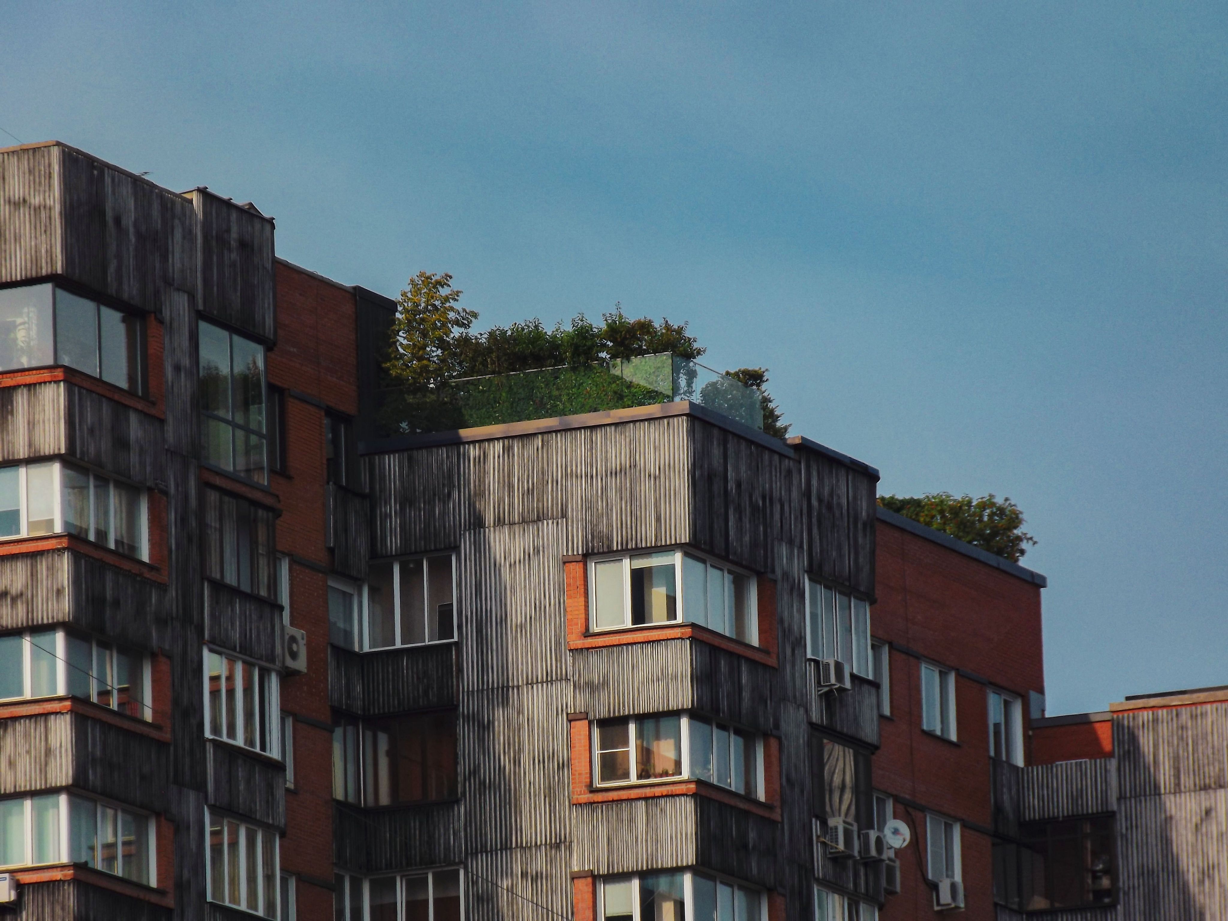 I decided to live in a build-to-rent community after buying a home. I'll never buy again. — Photo by Карина on Pexels