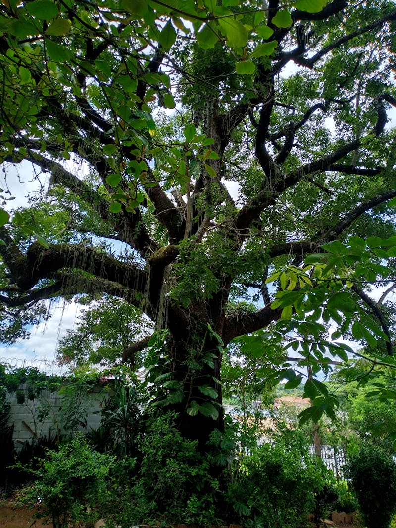 Reparație țeavă baie