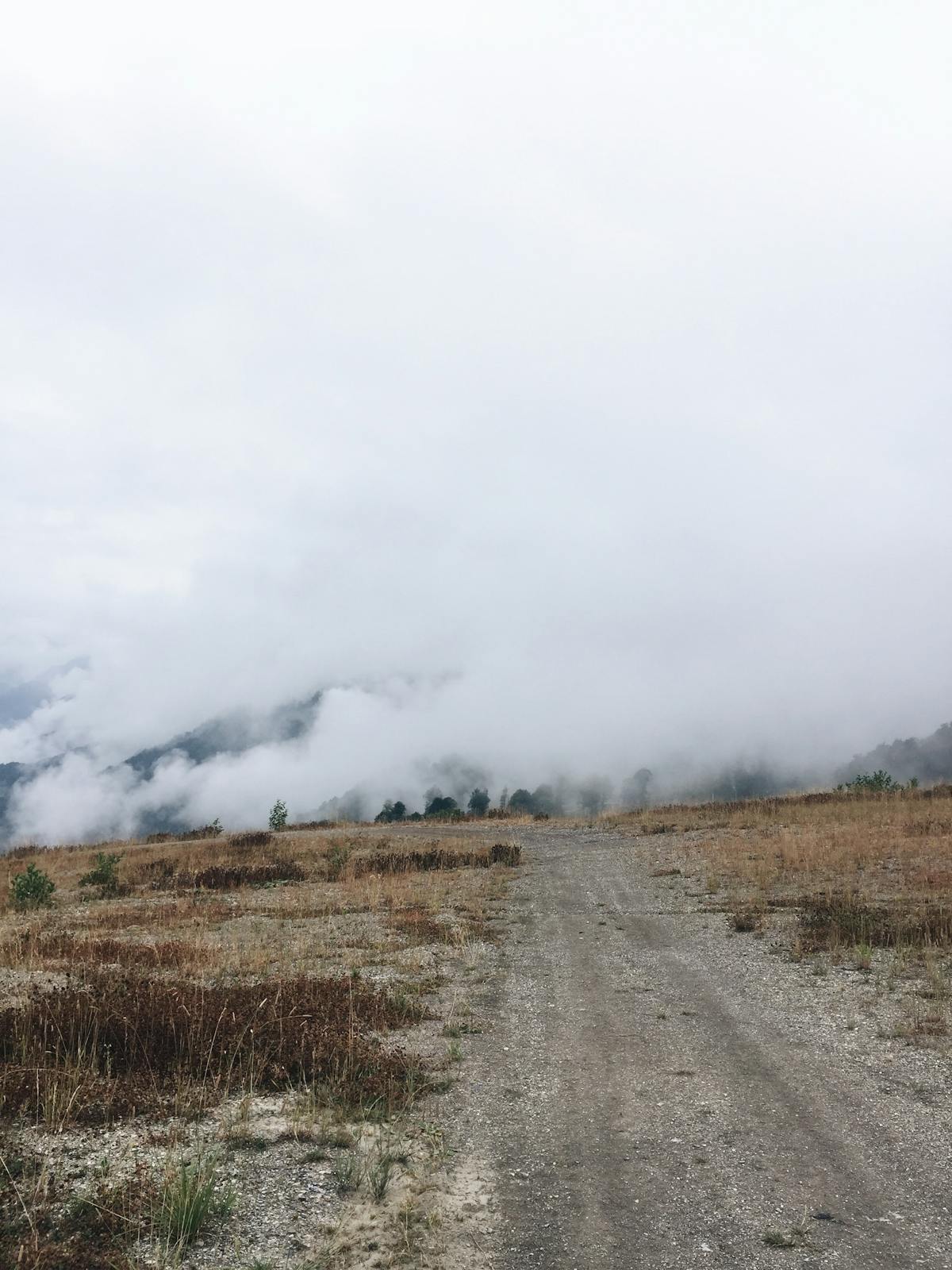 How to Verify a Contractor's License in Massachusetts