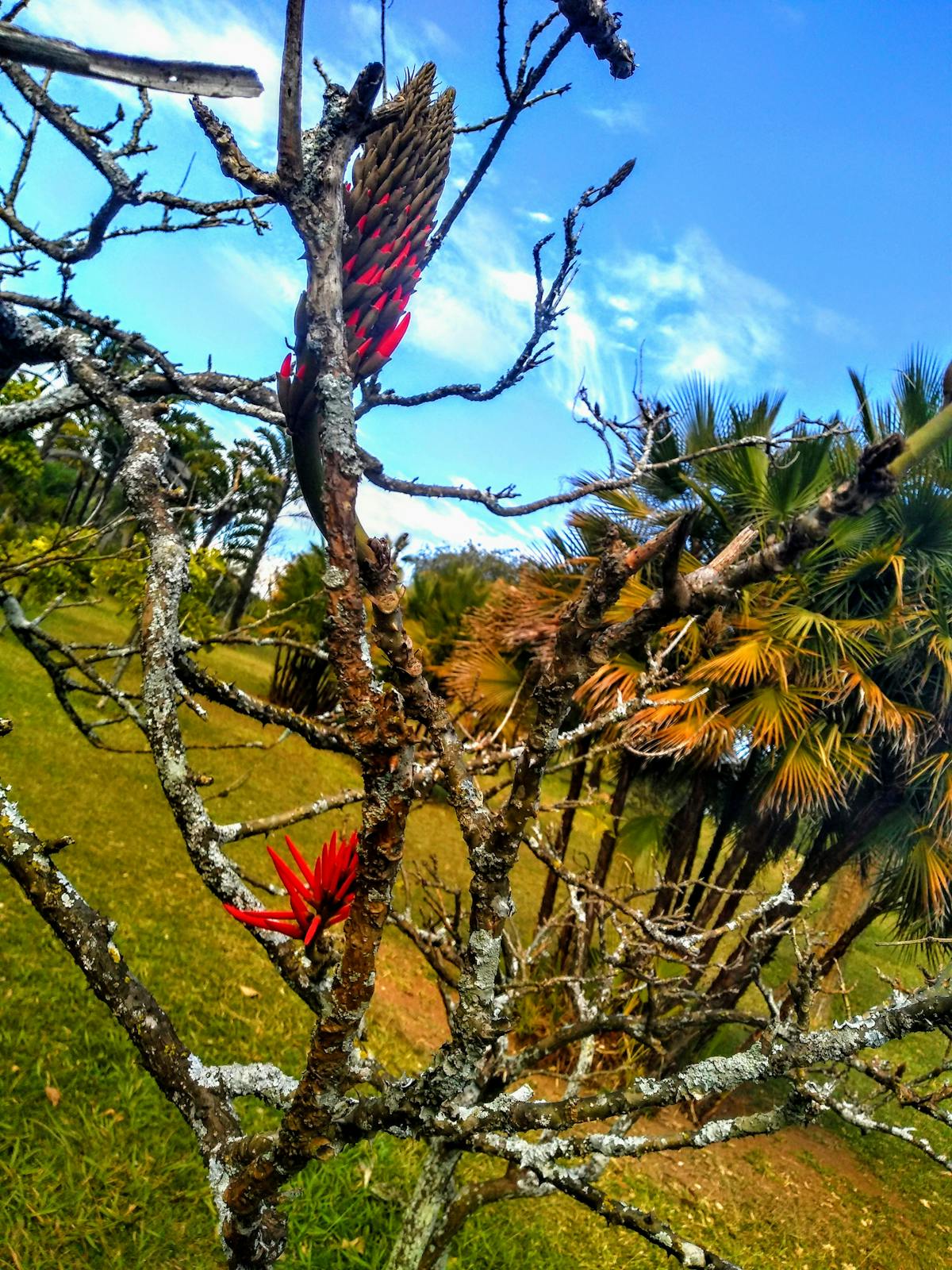 Flood Proofing Your Detroit Home: Sewer Backup, Sump Systems, and Structural Upgrades