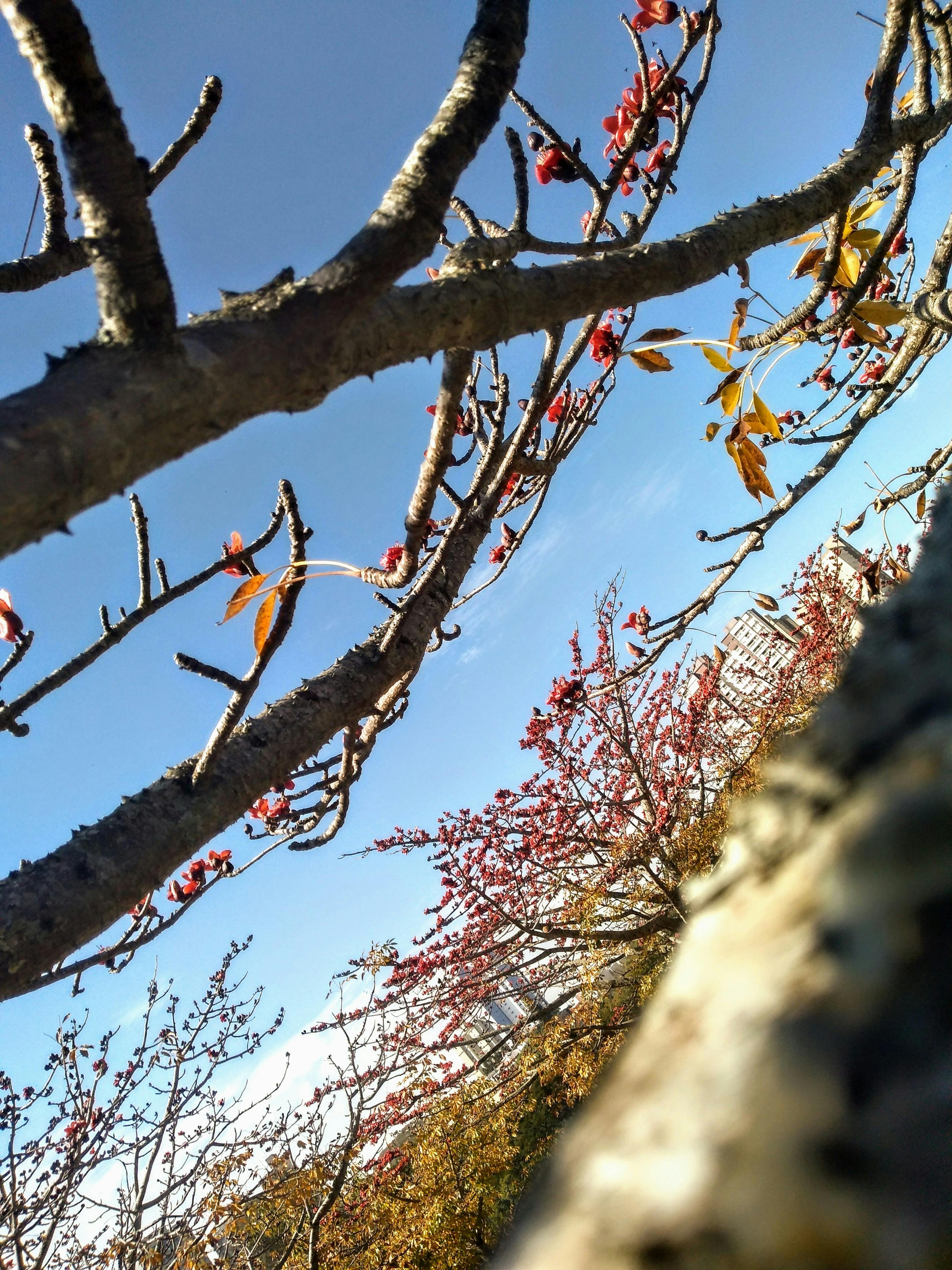 Dachdecker Meisterbetrieb bei der Arbeit in Hamburg