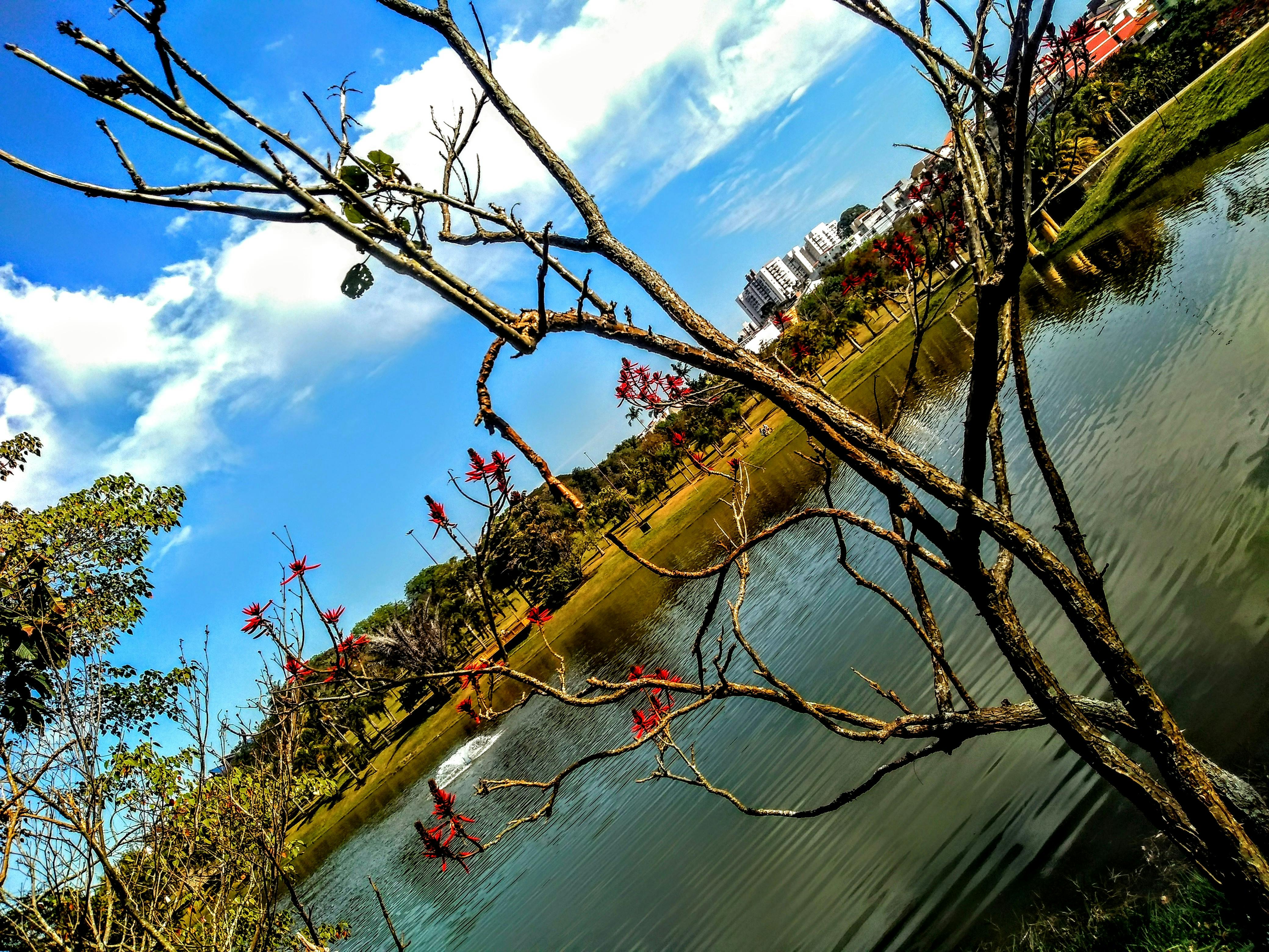 Moderne salon avec vue