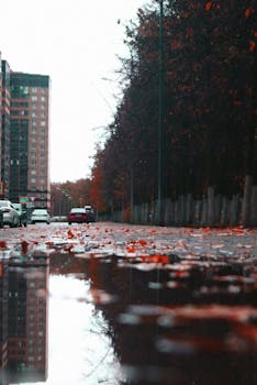 Low angle view of a city street with rain reflections and autumn leaves, capturing an urban fall mood.