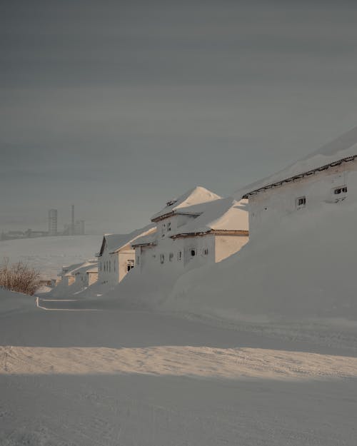 Základová fotografie zdarma na téma domy, sněhem pokryté zemi, sníh