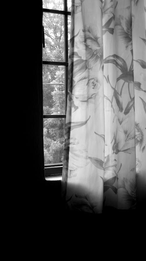 Ilmainen kuvapankkikuva tunnisteilla harmaasävyt, ikkuna, kukkainen verhoilu