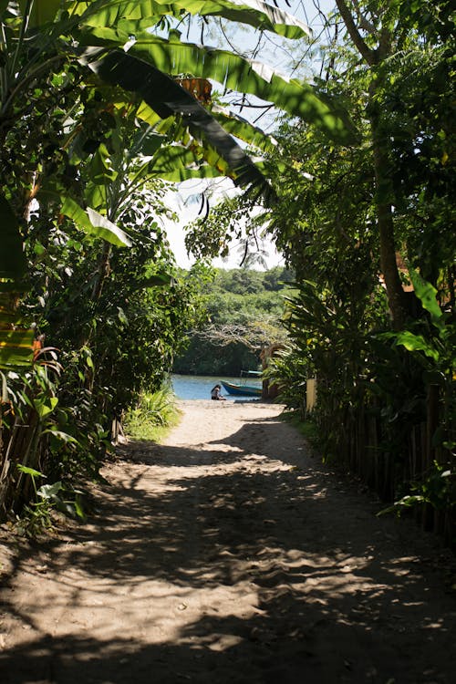 Off-road Towards the River 