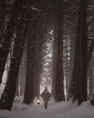 Person Walking on Snow Covered Pathway Between Bare Trees