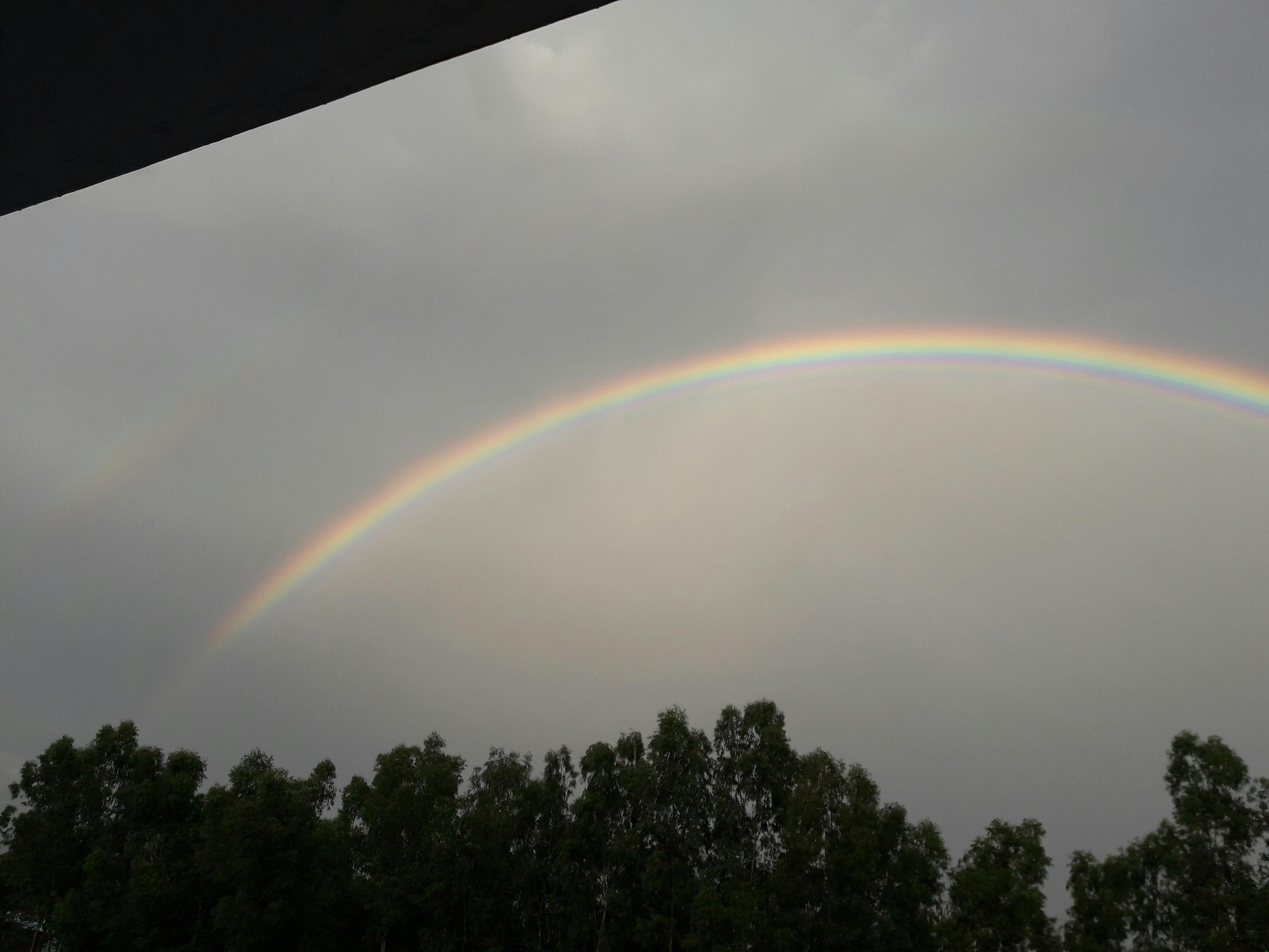 空 虹色 雨上がりの無料の写真素材