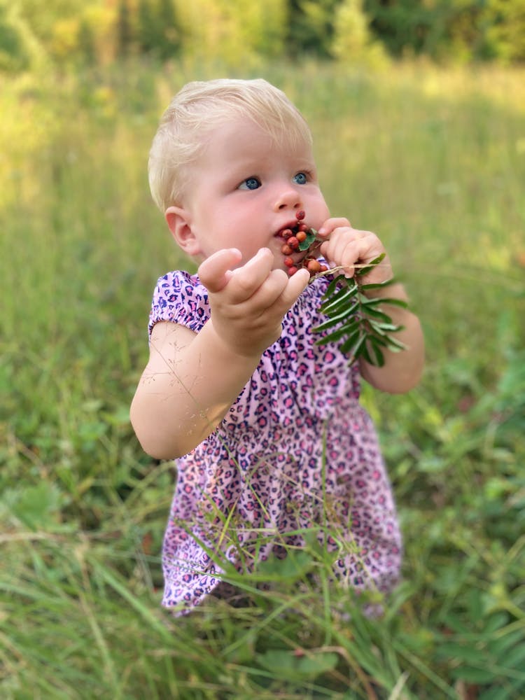 Girl In Purple And White Dress Eating Red Fruit With Leaves