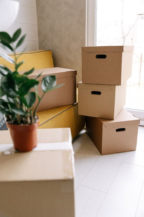 Free Cozy indoor scene with cardboard boxes and a potted plant, ideal for moving concepts. Stock Photo