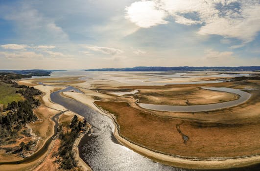 Explore a breathtaking aerial view of a winding river through a dry landscape, capturing summer's serene beauty.