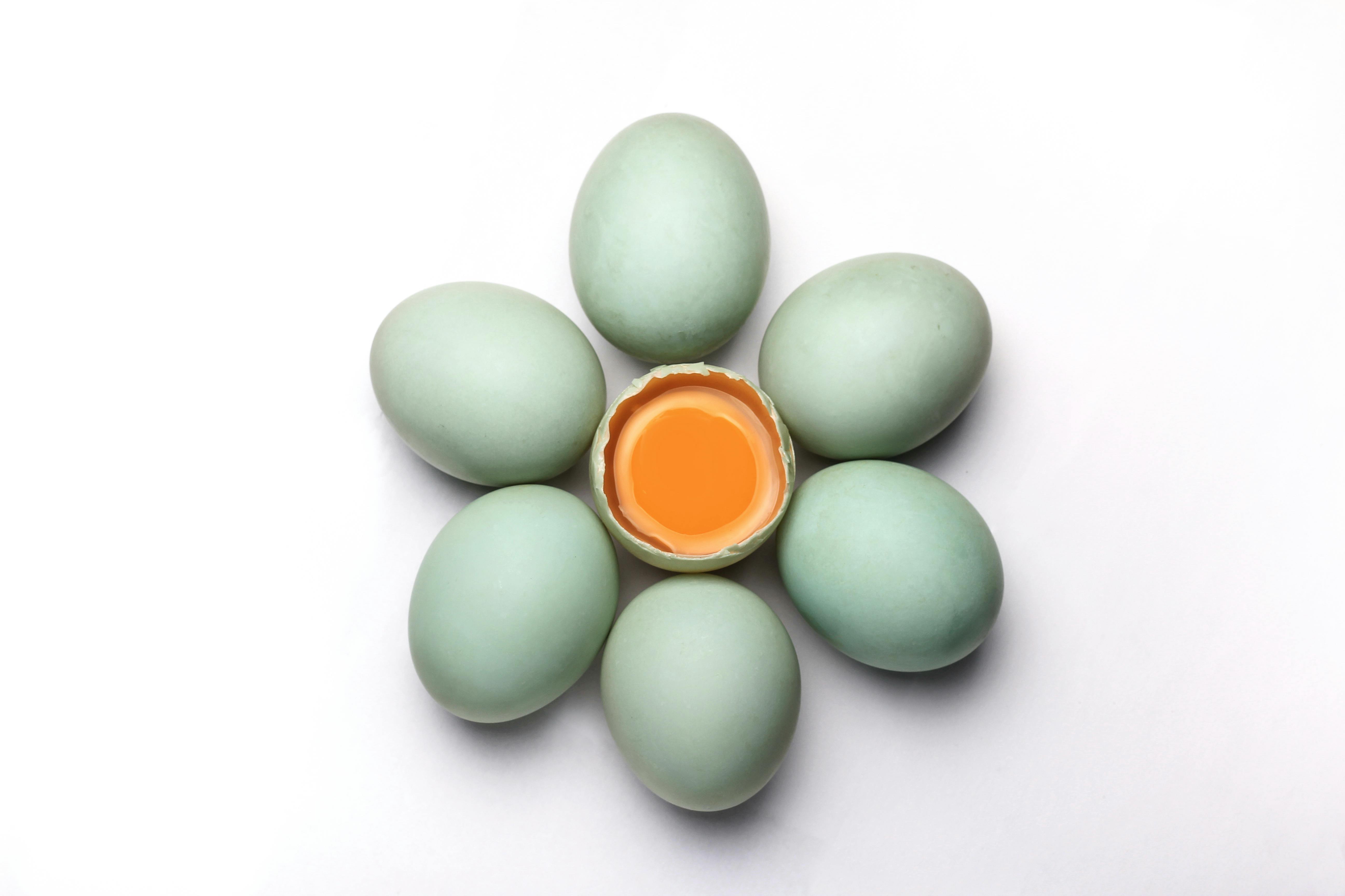 Kostenloses Foto zum Thema eier, eierschale, eigelb