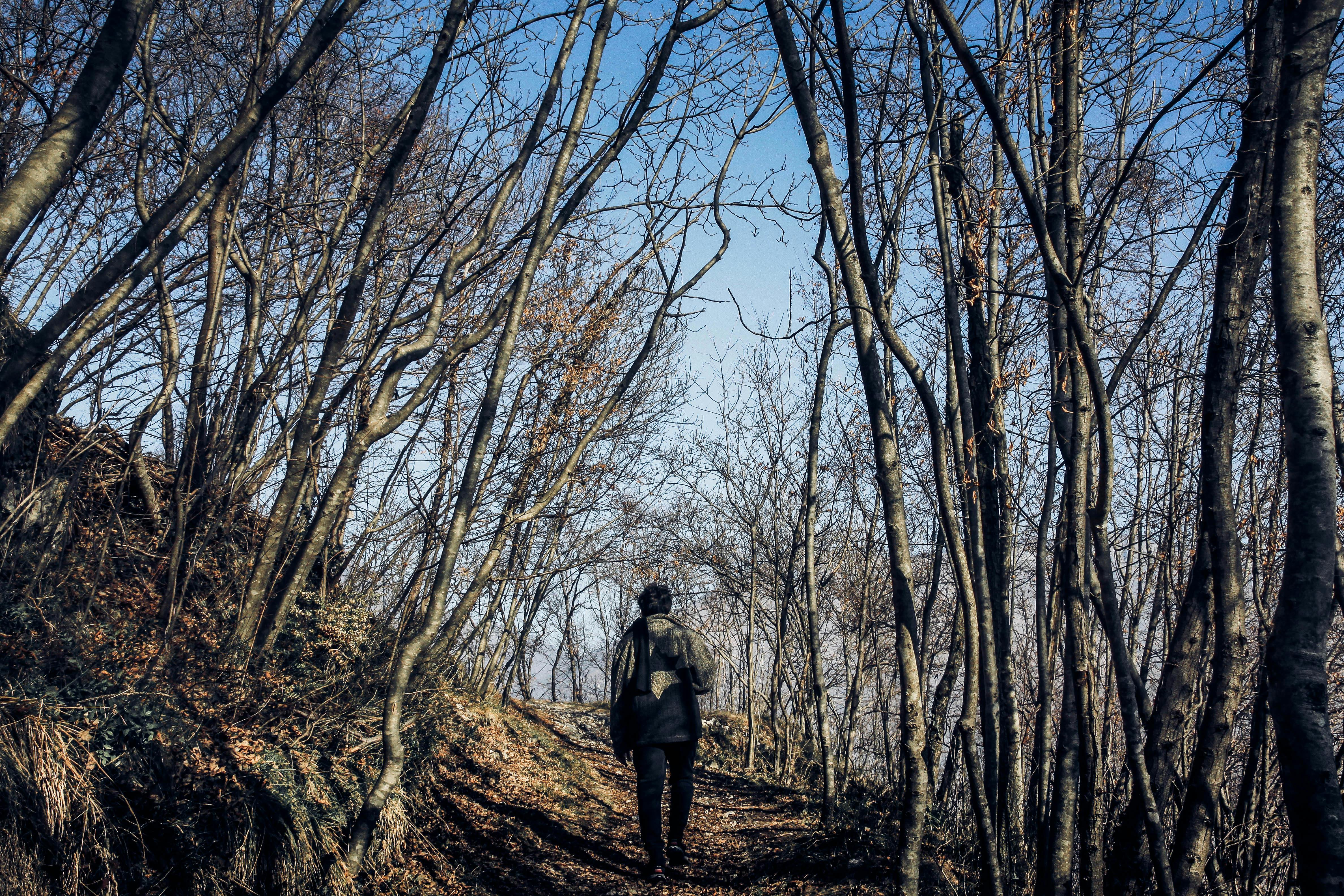 The lifelong journey of personal development - Meer — Photo by NIC LAW on Pexels