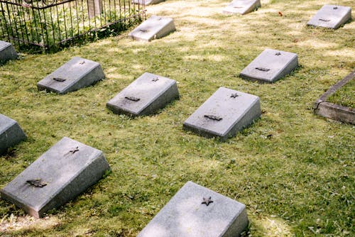 Free Concrete Headstones at a Cemetery Stock Photo