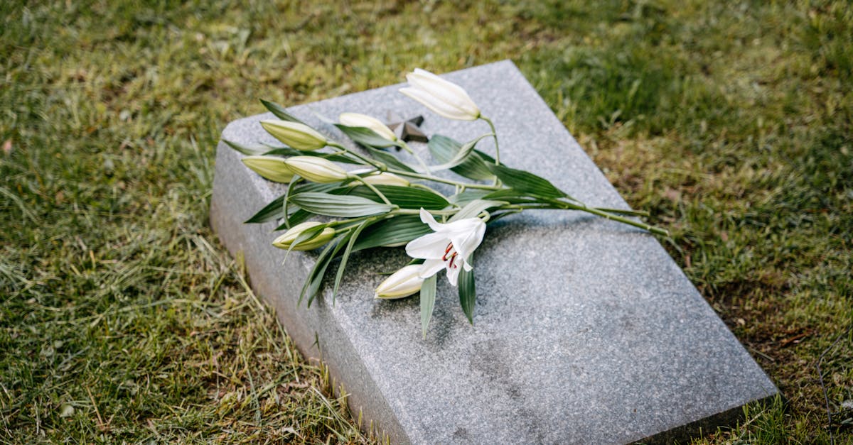 財經:綠色殯葬顛覆傳統觀念,推動環保永續新風潮