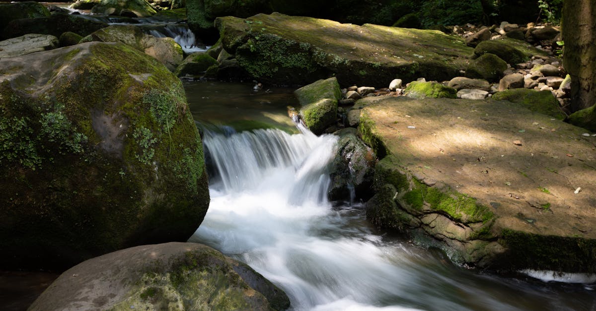 How to put co2 in soda stream Terra