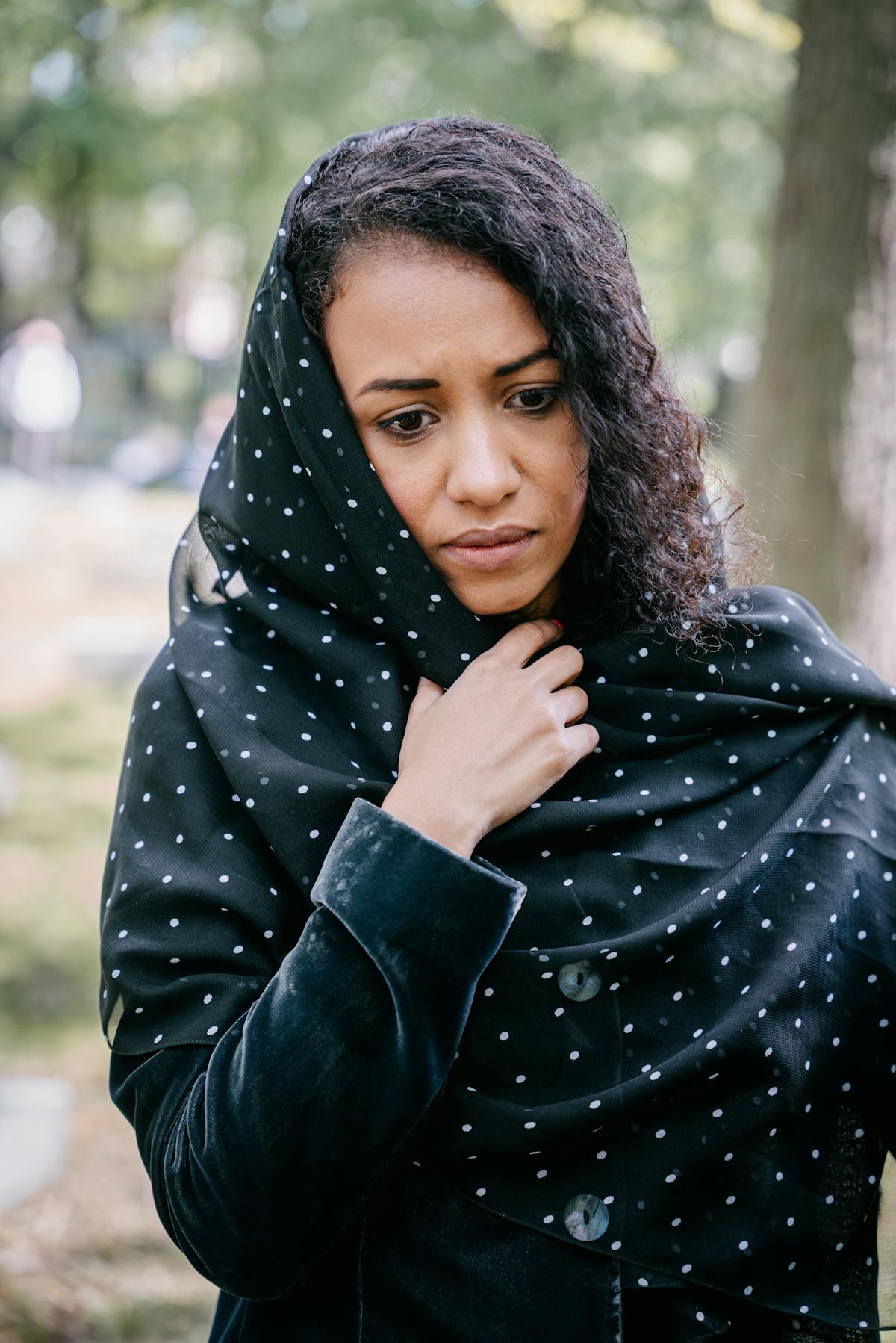 Close-up of dark purple aronia berries on a branch with green leaves