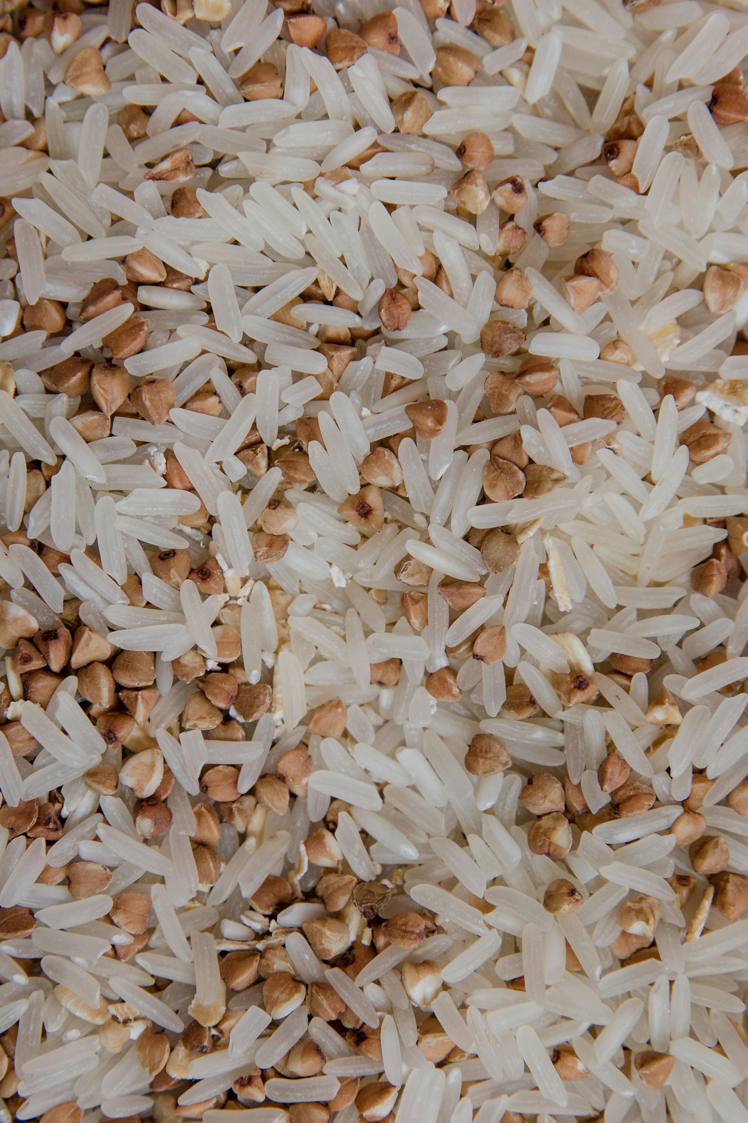 21,780 Rice Grain Macro Stock Photos - Free & Royalty-Free Stock Photos  from Dreamstime
